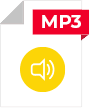 Recording Earning Call 12.08.2025